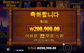 22 회 200배