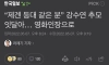 배우 강수연님 추모 기사 베플.jpg