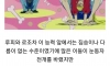 범용성갑 원피스 최고의 열매