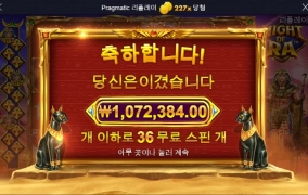 마이트 라  보너스 스핀 36번 대박 조짐!