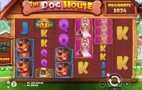 맥스윈에서 100출!!