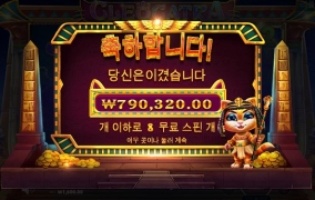 터보에서 냥냥이