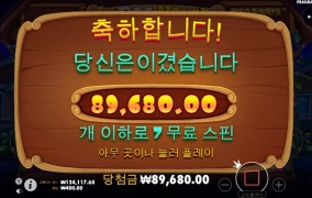 강아지랑 놀고왔네요 ㅋ