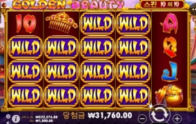 골든 뷰티 와일드 오져서 개 깜놀!!