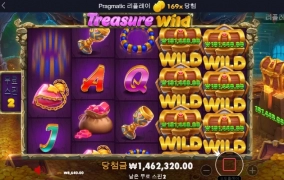 트레져 와일드 빨코야!! 안보이니~~~