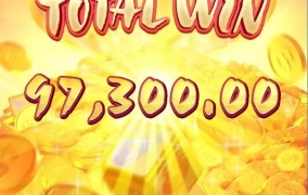 우드 슬롯사이트 피지소프트 후기