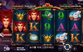 프라그마틱 퀴리 이것도 노답이네요!!  드럽게 안주는 구만!!