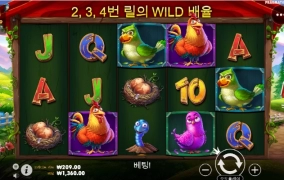 닭집 보너스는 없어진건가 ?