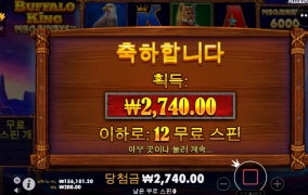 버팔로야 이건아니지!!