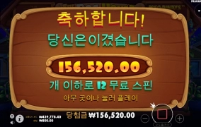 나도 강아지 산책~