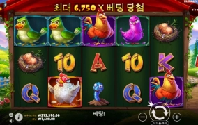 닭집 460바퀴 노 보너스 시롸냐!!