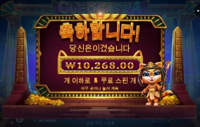 망할고양이... 다뜯어가네