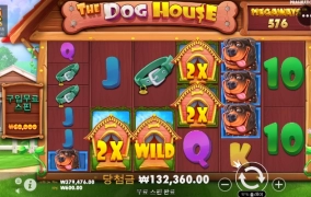 개집 뻥인줄 알았는데 으잉 ?