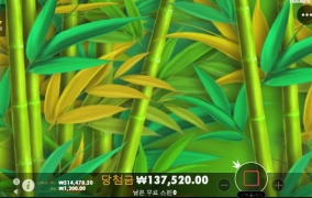 판다 소소하게 묵고 갑니다.