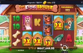 개집 오랜만에 먹는다 아~~~후!!