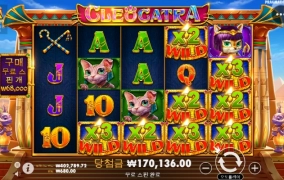 캐트라~~~좋구나~~~ㅅㅅ