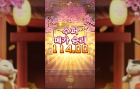 PG소프트 네코는 사랑입니다~ㅋ