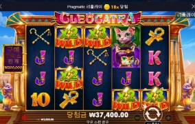 와 진짜 고냥이 드럽네!