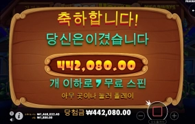 오늘은 슬롯사이트 맥스윈에서 강아지 산책 시켰네요