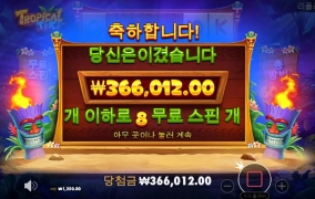 트로피칼 티키 후기