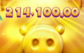 우드 슬롯사이트 후기