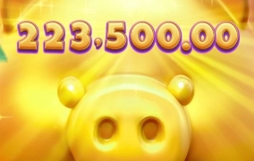 우드슬롯사이트 후기