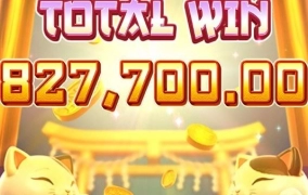 우드슬롯사이트 후기