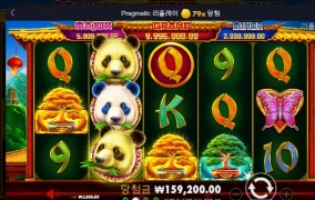 판다들 죄다!! 좀 혼나야것다!!!