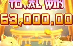 우드슬롯사이트 후기