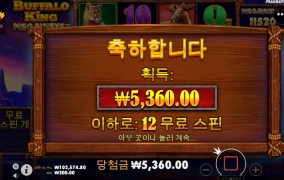 버팔로킹 이건 너무한거 아니냐고!