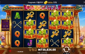 착한고냥이 캐트라 x350 !! 나이스하게!