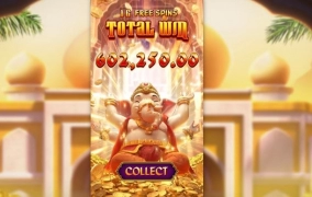 우드슬롯사이트 피지소프트 후기