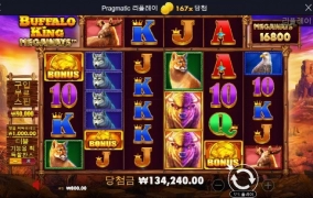 버팔로 재미지게 놀다갑니다!