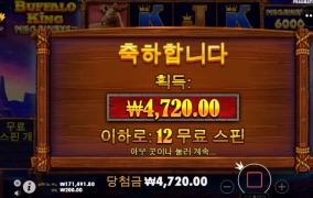 버팔로 메가 이 아름다운 금액은 모지?