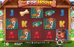 오랜만에 도그하우스