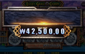 럭키 그레이스 오늘은 아니구나.