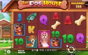 빛의속도로 오링 ;;