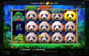 판다~야무지게 먹고 즐겁게 퇴근!!