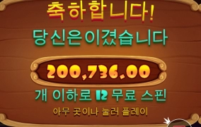 강아지 산책시키고 왔네요~