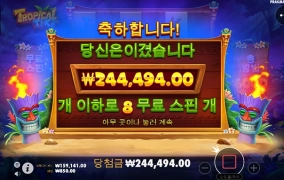 트로피칼 티키로 간만에 먹었네요