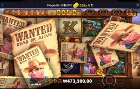 카우보이금 곱하기 5 마지막 단계 진입!! 대박~~ㅎㅎ