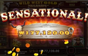 터보는 사랑입니다