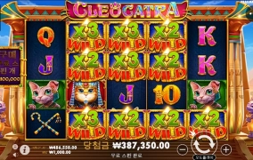 고양이난 사랑입니다