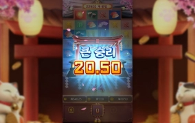 피지소프트 네코 ㅅㅂ