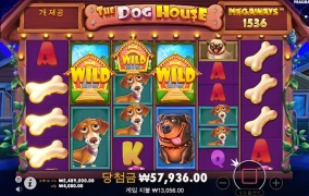 너무 빈약하네요...