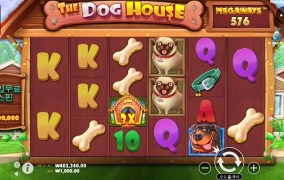 프라그마틱 개집에서 40출 해봅니다