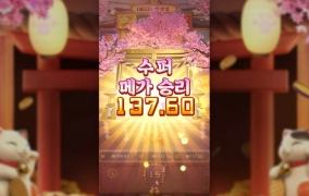 PG소프트는 럭키네코가 짱!!!!