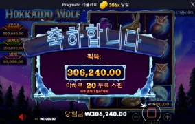 홋카이도 늑대 시작 좋네~~ㅎㅎ