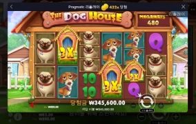 개집 아침 산책이 상콤하구나~~