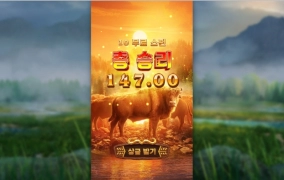 피지소프트 버팔로